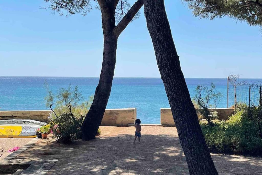 Cocon Les Pieds Dans L'Eau Acces Direct A La Mer La Ciotat Extérieur photo